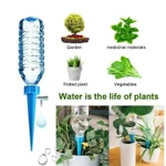 Auto Drip Irrigation