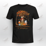 It's The Most Wonderful Time Of The Year Autumn Cats Pumpkin Crockcool T-shirt