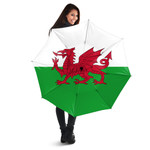 1sttheworld Umbrella - Flag of Wales Umbrella A7 | 1sttheworld
