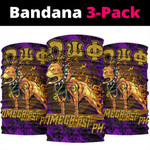1sttheworld Bandana - Omega Psi Phi Dog Bandana | 1sttheworld
