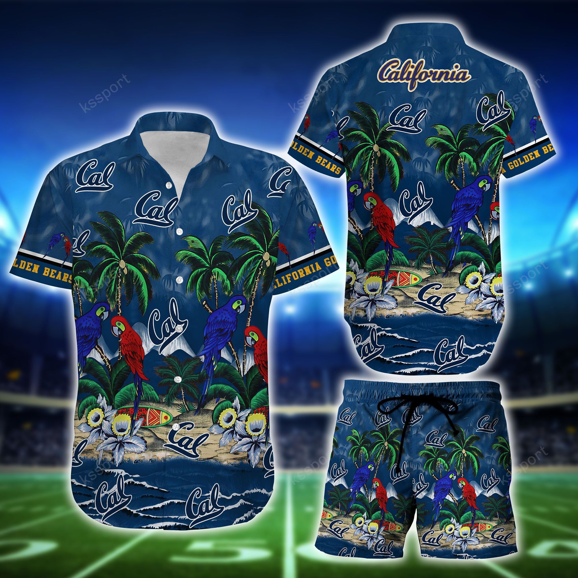 You'll look good on the beach with these hawaiian shirt 243