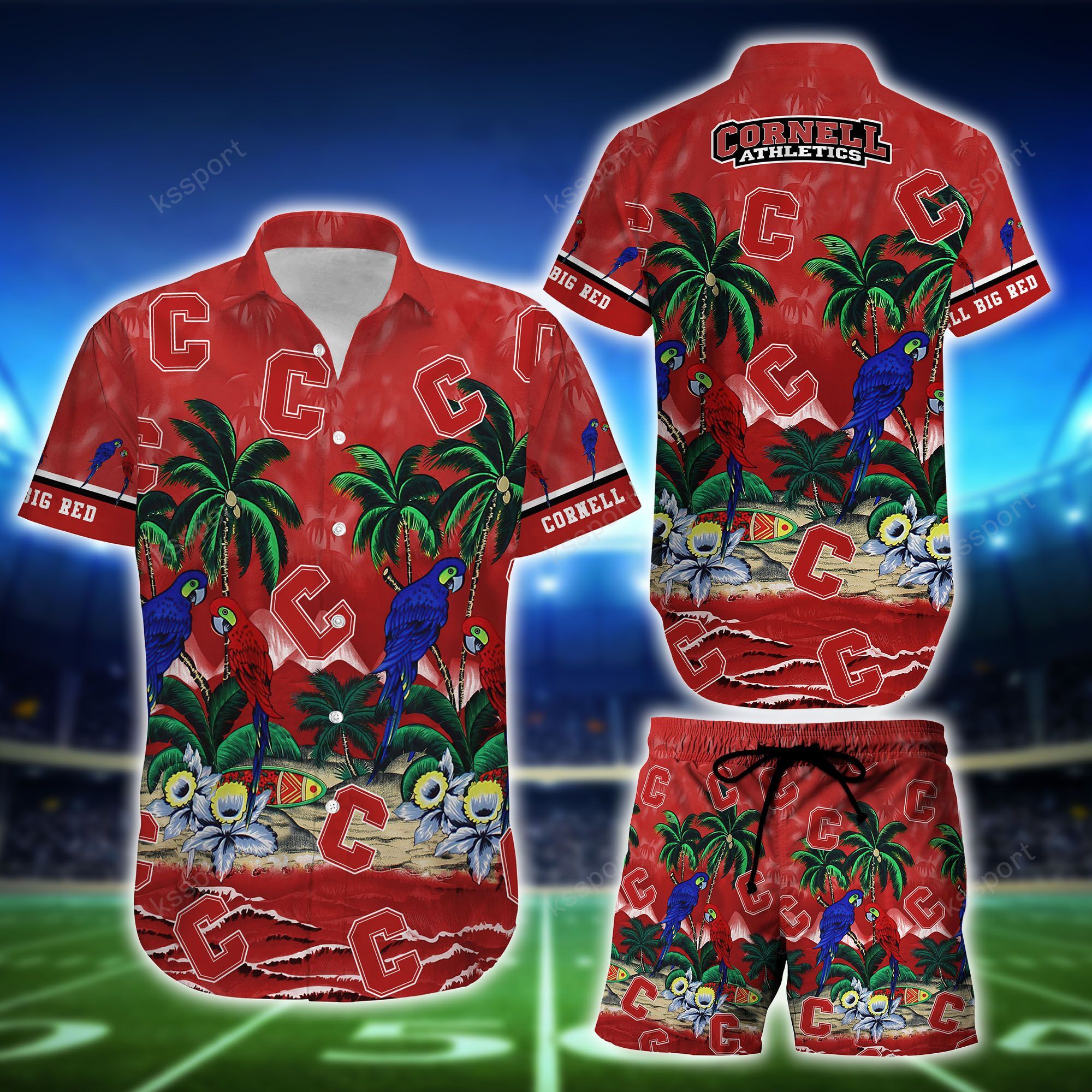 You'll look good on the beach with these hawaiian shirt 255