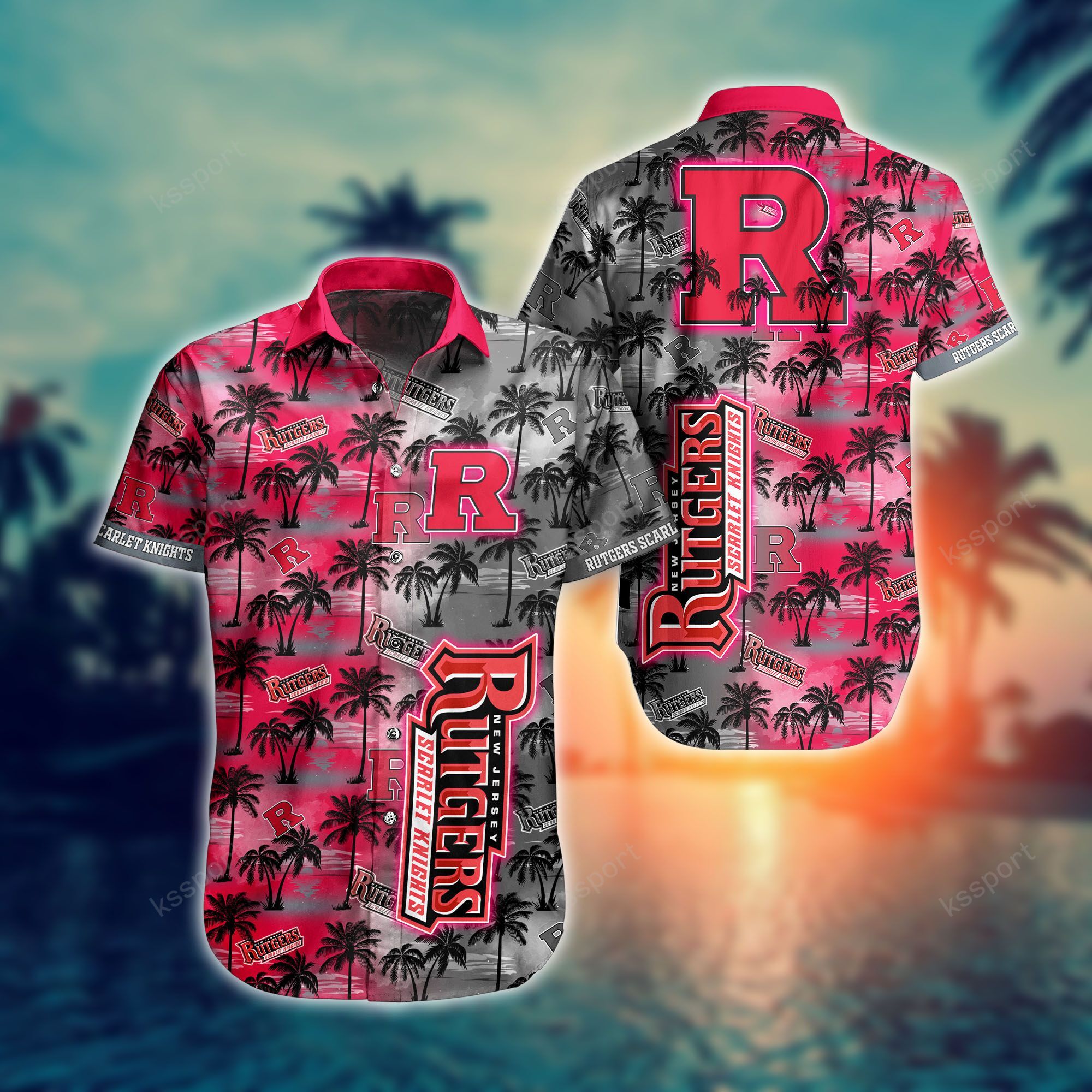 Top Cool Hawaiian shirt for Sporty Fan in this summer 111