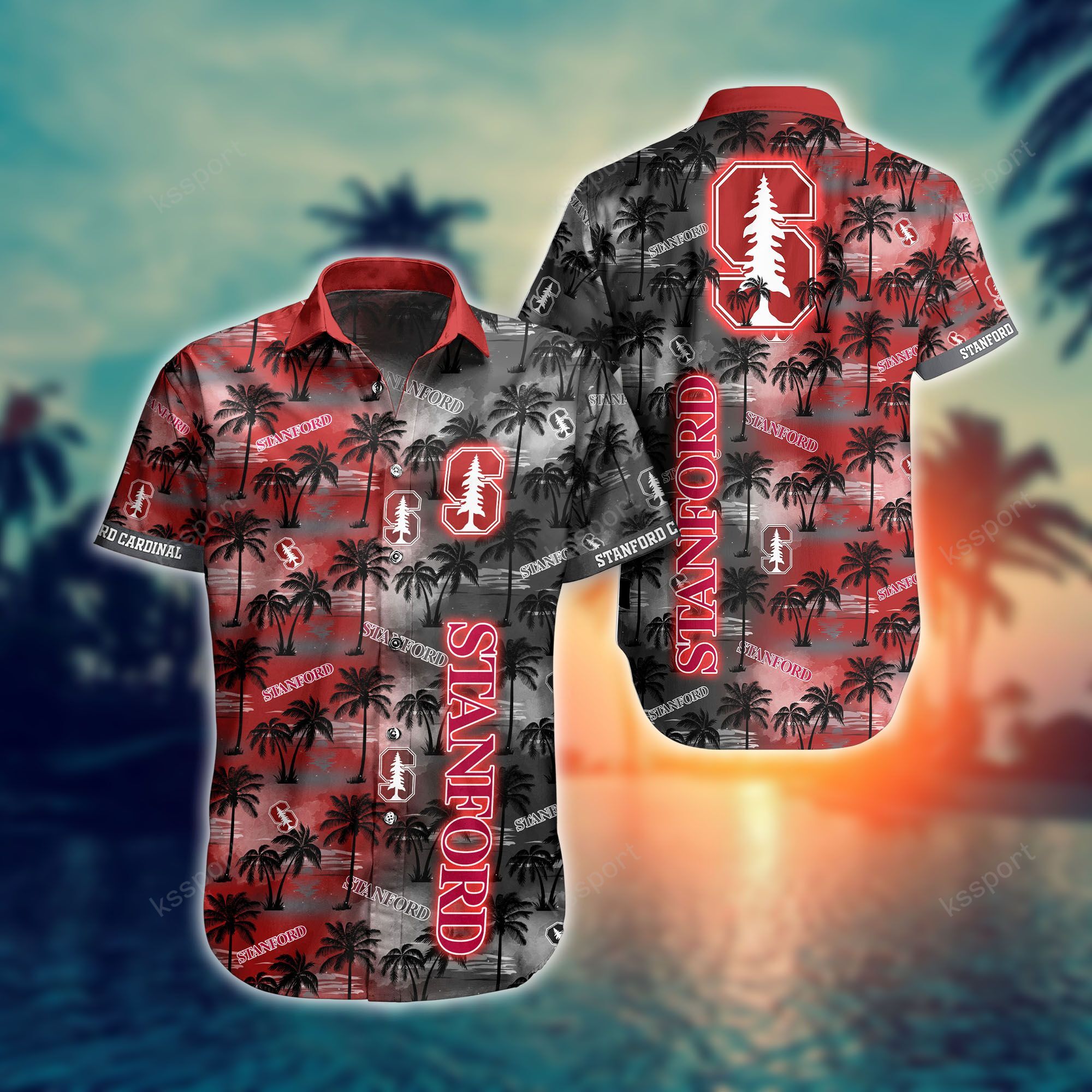 Top Cool Hawaiian shirt for Sporty Fan in this summer 117