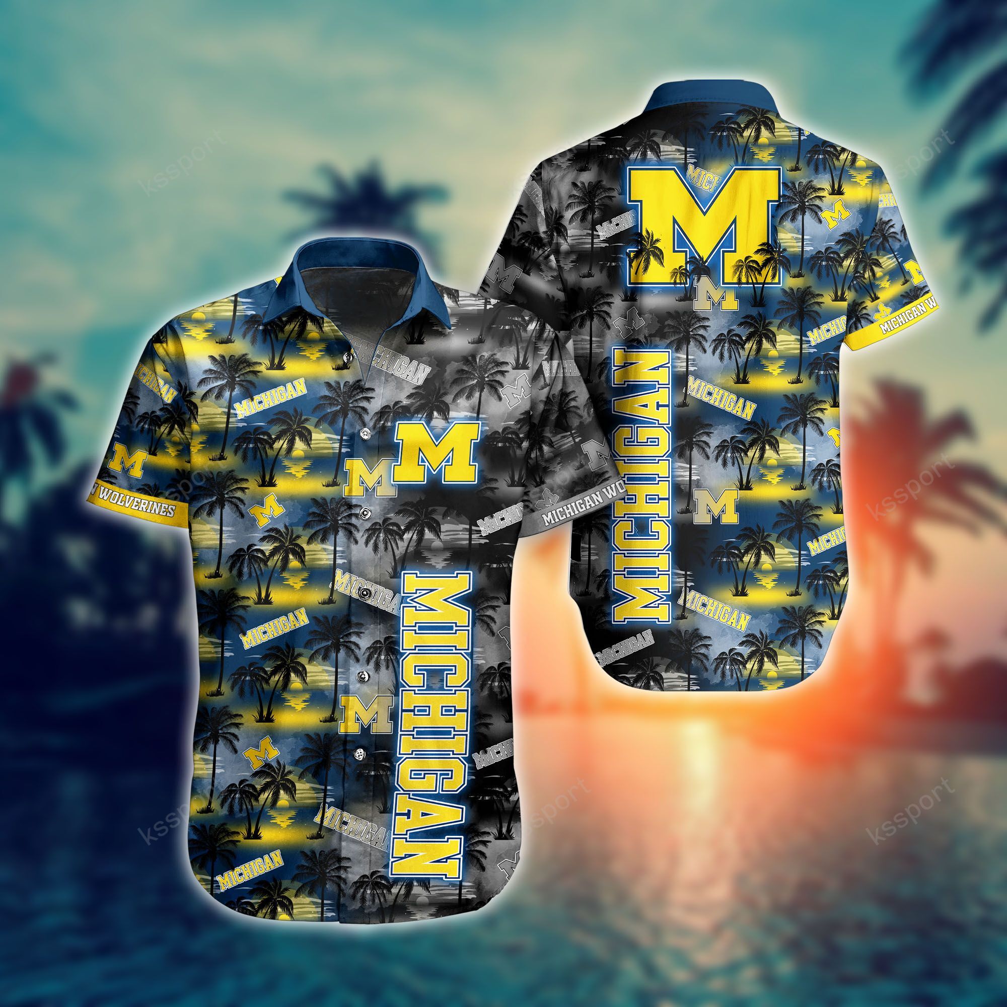 Top Cool Hawaiian shirt for Sporty Fan in this summer 73