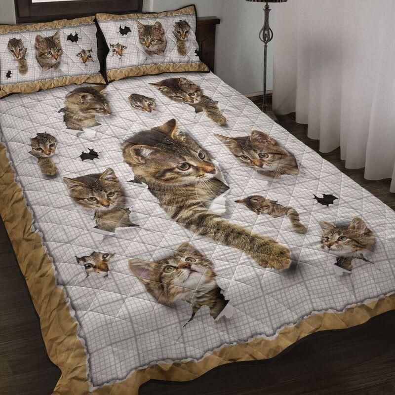 Sleeping With Cat Quilt Bedding Set SU280405