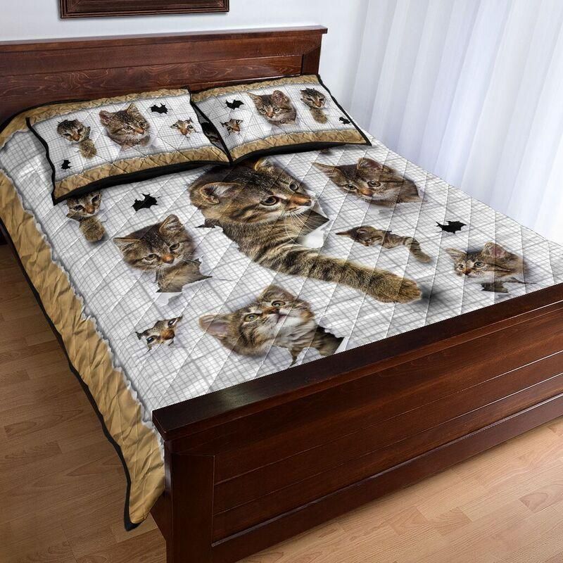 Sleeping With Cat Quilt Bedding Set SU280405