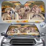 Weimaraner Dog Lovers Autumn Road Car Auto Sunshade 57" x 27.5"