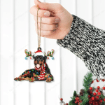 Rottweiler Dog Lovers Christmas Gift Santa Hat Custom Shape Acrylic Ornament