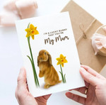 Mothers Day Card, Gift For Mother From Daughter/ Son, Rabbit Post Card & Greeting Card