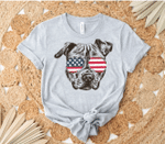 American pitbull Tee, Fourth Of July, Independence Day Tshirt