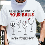 We Used To Live In Your Balls, Fathers Day Tshirt, Gift For Dad From Daughter & Son