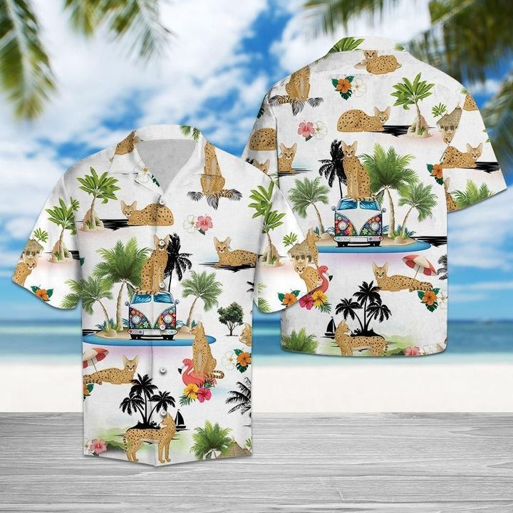 This style of Hawaiian shirt is great for the beach 419