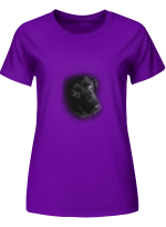 Black Labrador Retriever Hoodie Sweatshirt Long Sleeve T-Shirt Ladies Youth For Men And Women