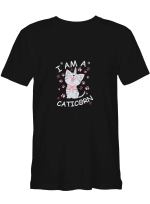 Cat Unicorn Im A Caticorn Hoodie Sweatshirt Long Sleeve T-Shirt Ladies Youth For Men And Women