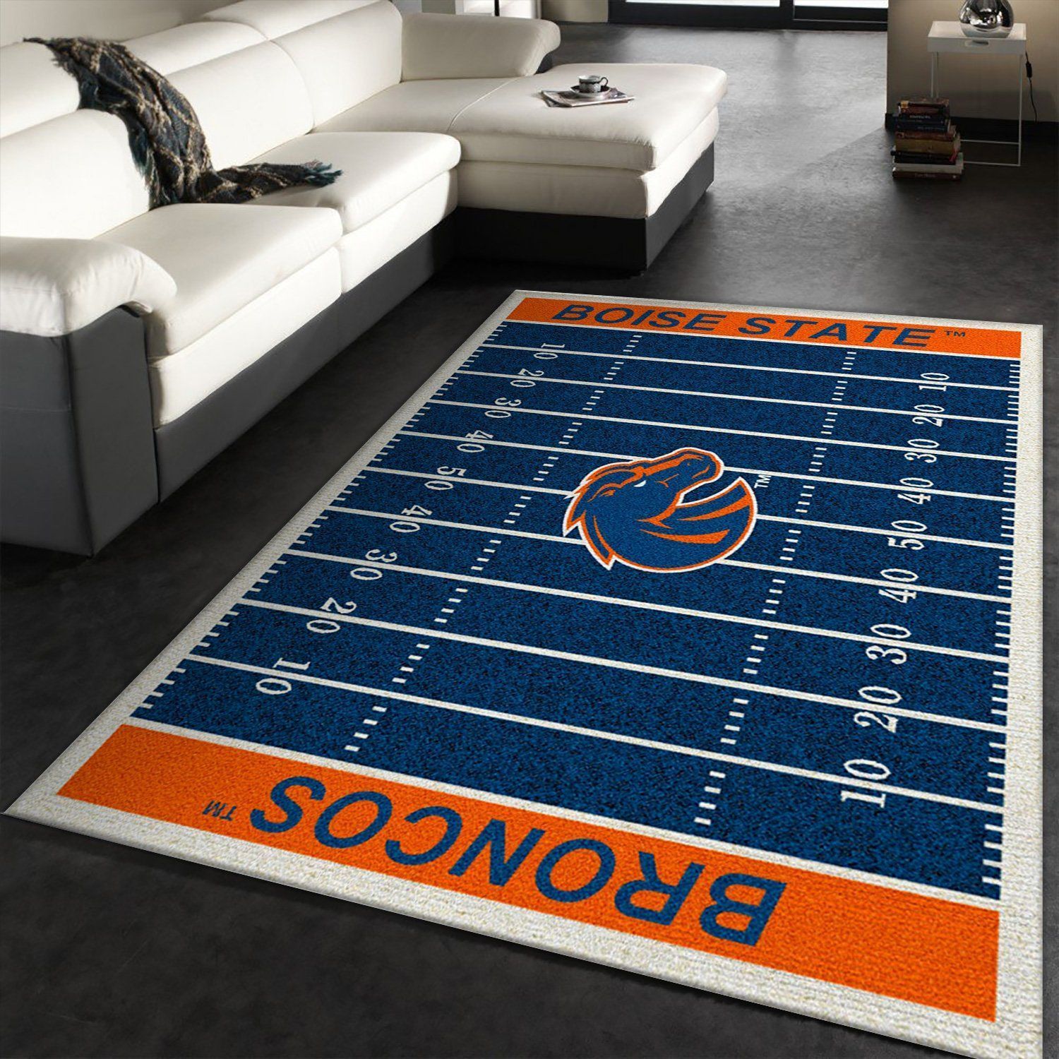 Rugs in Living Room and Bedroom - College boise state nfl team logo area rug kitchen rug us gift decor