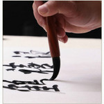 Chinese Calligraphy Brush Set 6pcs Caligrafia Calligraphy Brush for Calligraphy Writing Painting Tinta China Chinese Brush Pen