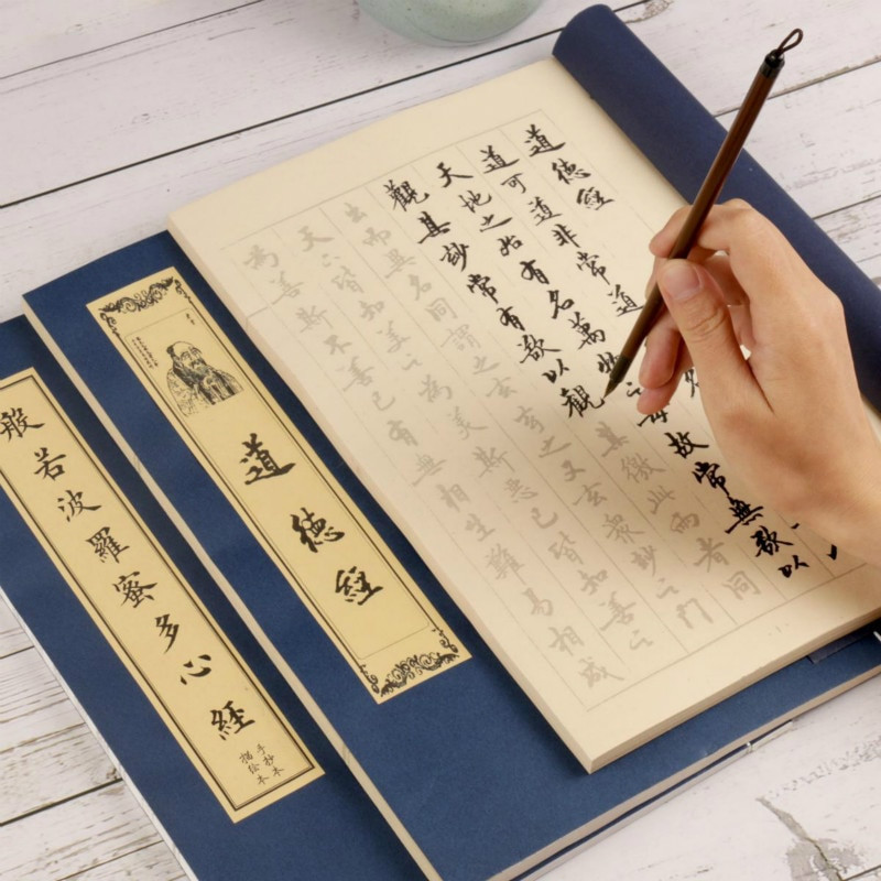 Regular Script Copying Book Chinese Calligraphy Copybook Running Script Shou Jinti Copybook Traditional Calligraphy Practice