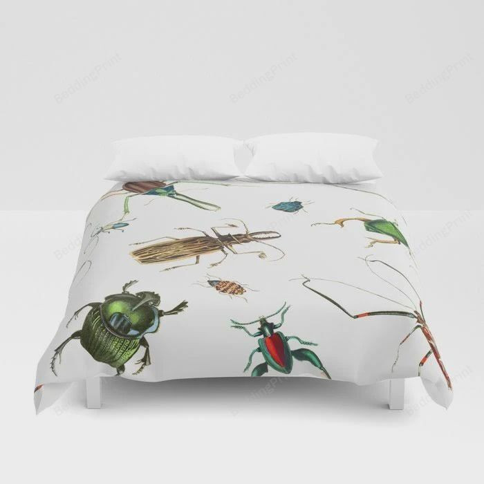 Bug Life Beetles Bugs Insects, Do Bed Bugs Live In Duvets