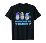 Gnome For The Holidays Hanukkah Jewish Christmas Cute Gnome T-Shirt