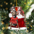 Pitbull In Christmas Bag Ornament Cute Christmas Ornaments Gifts For Pitbull Lovers
