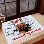 Dachshund Merry Christmas Doormat I Hope You Like Dogs Doormat Gift Dog Lovers