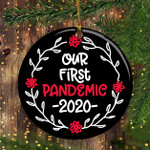Our First Pandemic Ornament Funny Quarantine 2020 Christmas Ornament Tree Decorating Ideas
