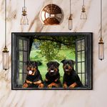 Rottweiler Looking From Window Poster Dog Breed Poster For Living Room Wall Decor
