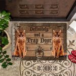 Cat Definitely Not A Trap Doormat Unique Outdoor Indoor Entry Mat For Cat Lover Owners Gift