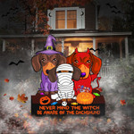 Never Mind Of The Witch Beware Of Dachshund Yard Sign Funny Halloween Sign For Dachshund Owner