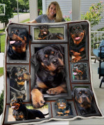 3D Huge Rottweiler - Fleece Blanket, Gift for you, gift for him, gift for her, gift for dog lover, gift for rottweiler lover- Test random title 001