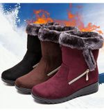 Winter Snow Boots 2021 New Ankle Boots for Women Boots Shoes Waterproof Warm Plush Booties Female Winter Boots Plus Size 5 10.5