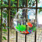 Betta Fish Aquarium Acrylic Fish Bowl Wall Hanging Aquarium Tank Aquatic Pet Supplies Pet Products