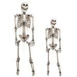 Halloween Prop 5Ft Skeleton Full Size Giant Decoration Skeleton Skull Hand Lifelike Fake Human Body