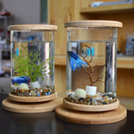 Glass Betta Fish Tank-Bamboo Base