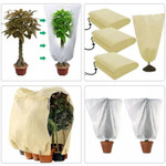 Plant Covers For Winter - Freeze & Frost Protection For Plants
