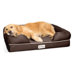 PetFusion Ultimate Orthopedic Dog Bed 36x28 Inch (Pack of 1), Chocolate Brown