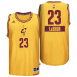 Youth Cavaliers #23 Lebron James 2014 Christmas Day Gold Jersey