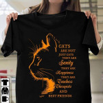 Cats are not just cats they are sanity they are happiness they are teachers therapists and best friends T Shirt Hoodie Sweater N98