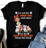 Pitbull lover i'm not the sweet girl next door i'm the crazy pit bull lady down the street T shirt Hoodie Sweater H97
