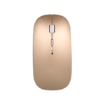 Wireless Mouse Portable