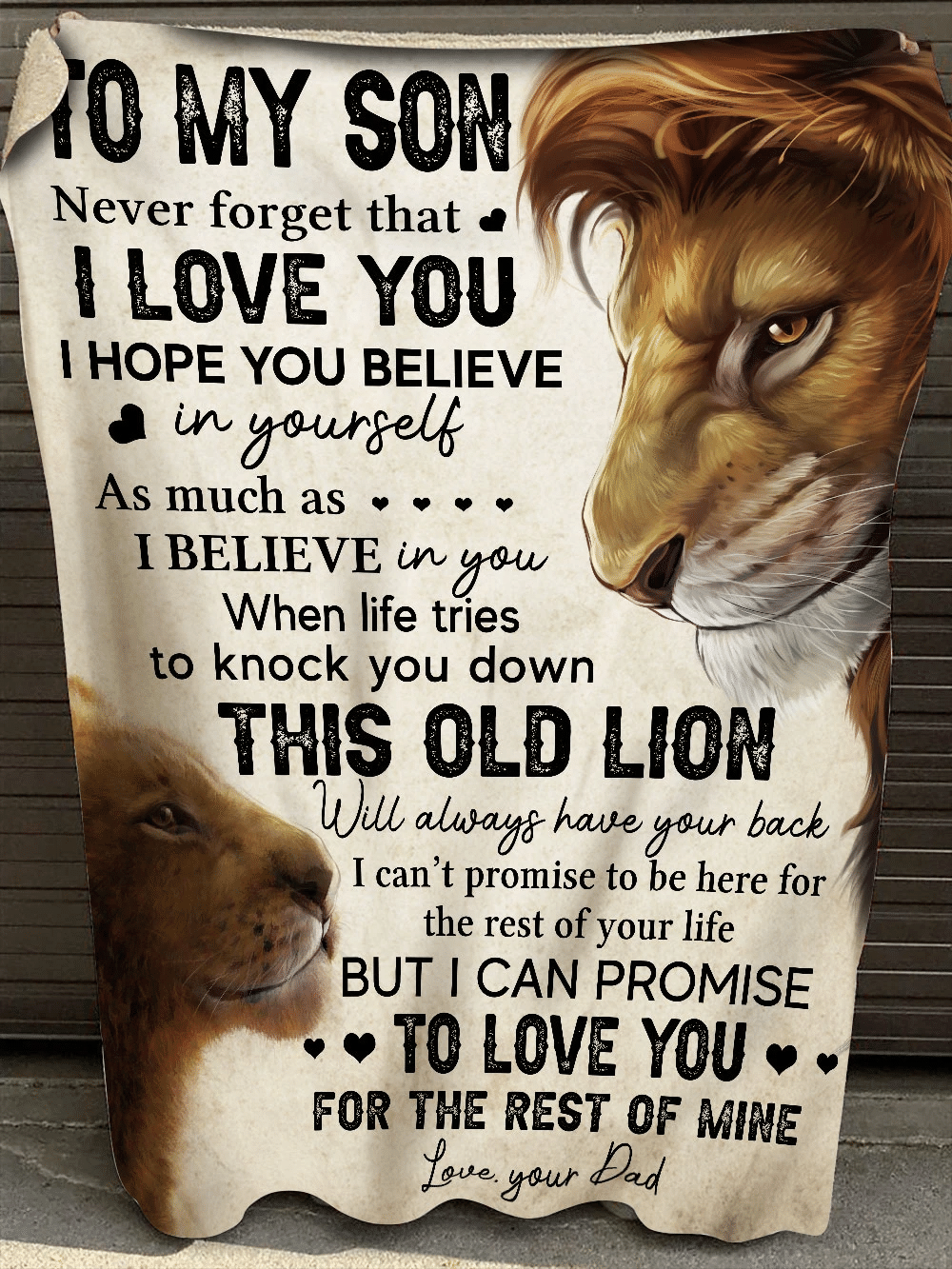 Lion To My Son Never Forget That I Love You I Hope You Believe In Yourself 
