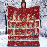 Berger Picard - Christmas Blanket