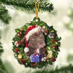 Pitbull Christmas Gift Acrylic Ornament