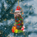  Otter Light Christmas Shape Ornament