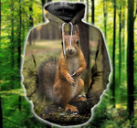 3D All Over Printed Squirrel T-shirt Hoodie SATK200412