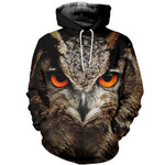 3D All Over Printed Owl T-shirt Hoodie SCTM160408