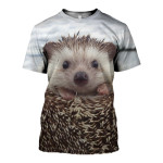 3D All Over Printed Hedgehogs T-shirt Hoodie ADAK260405