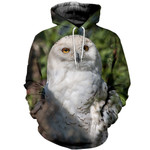 3D All Over Printed Owl T-shirt Hoodie SCTM160411