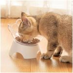 PetBuy™ Pet Cat Bowl With Stand